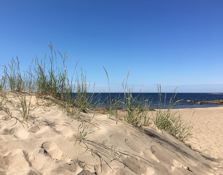 2019.08 aug